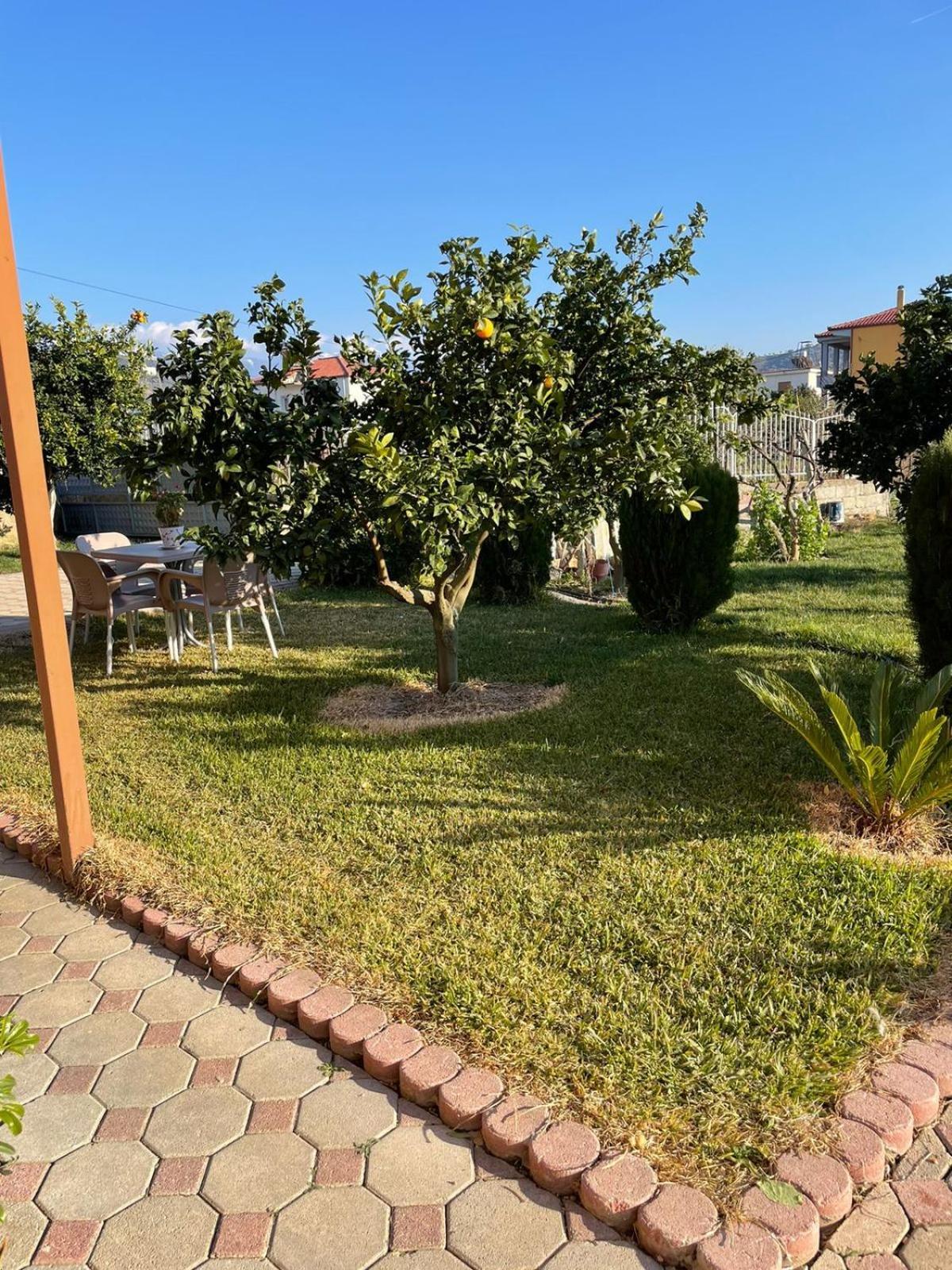 Harmony Villa Berat Eksteriør bilde